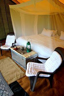 Grass Walk Resorts, Vikarabad 4